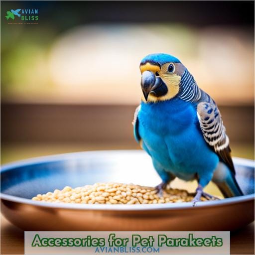 Accessories for Pet Parakeets
