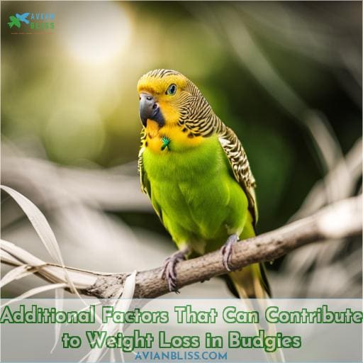 Additional Factors That Can Contribute to Weight Loss in Budgies