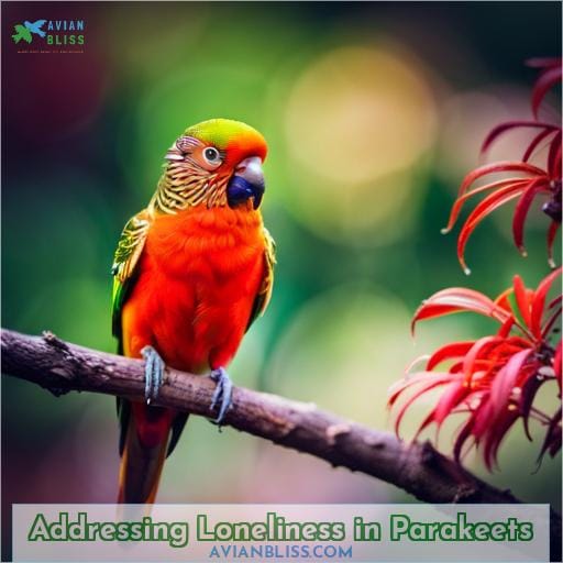 Addressing Loneliness in Parakeets