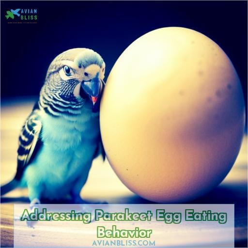 Addressing Parakeet Egg Eating Behavior