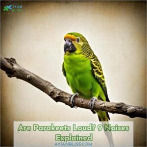 are parakeets loud 9 noises explained