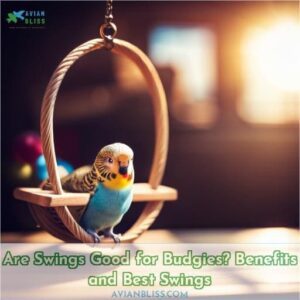 are swings good for budgies explained