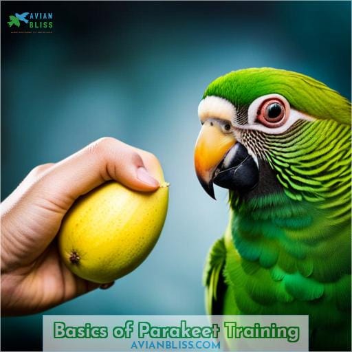Basics of Parakeet Training