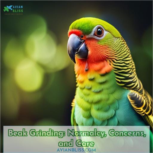 Beak Grinding: Normalcy, Concerns, and Care