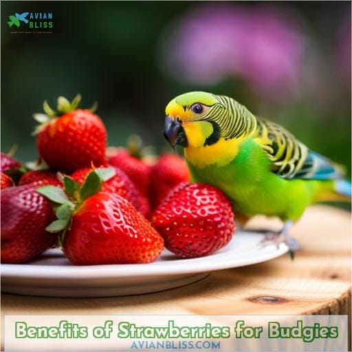 Benefits of Strawberries for Budgies