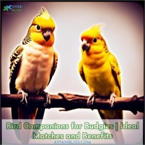 birds you can keep with budgies