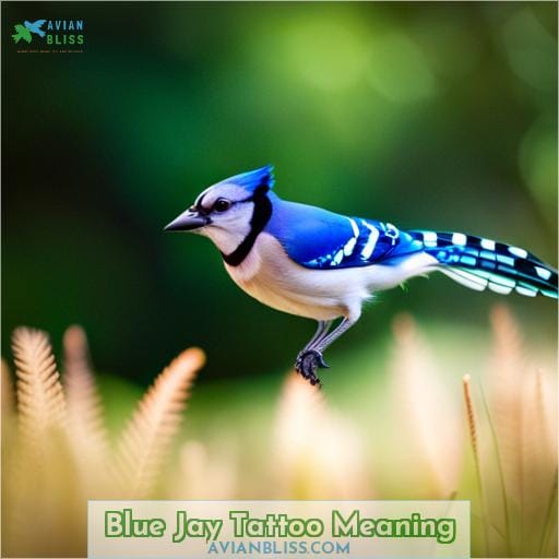 Blue Jay Tattoo Meaning
