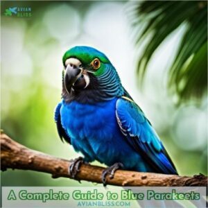 blue parakeets a complete guide before you get one