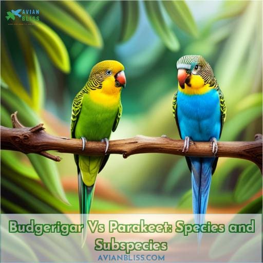 Budgerigar Vs Parakeet: Species and Subspecies