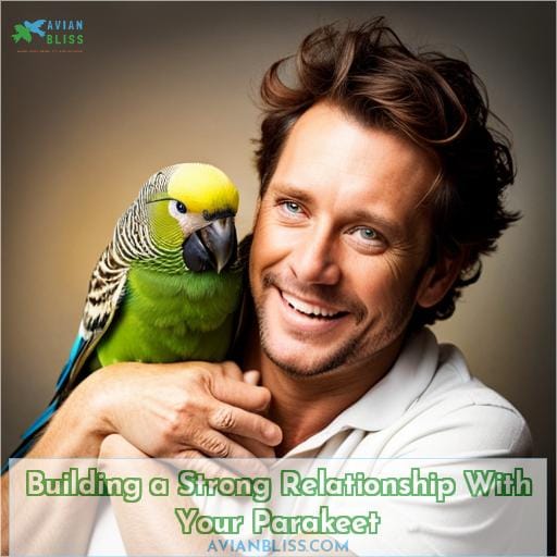 Building a Strong Relationship With Your Parakeet