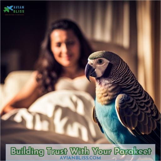 Building Trust With Your Parakeet