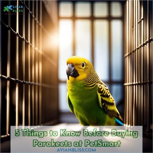 buying parakeets at petsmart 5 things to know before you buy