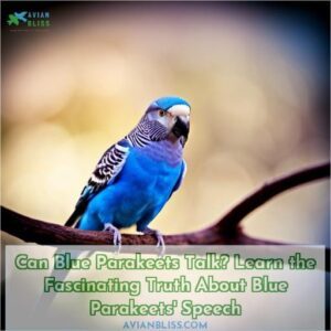 can blue parakeets talk