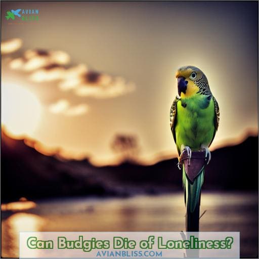 Can Budgies Die of Loneliness
