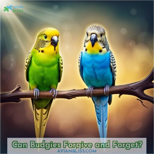 Can Budgies Forgive and Forget