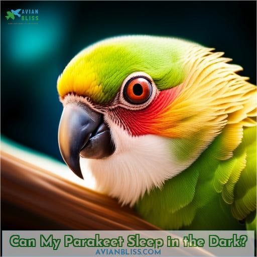 Can My Parakeet Sleep in the Dark