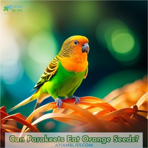 Can Parakeets Eat Orange Seeds