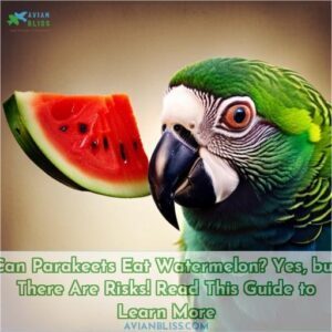 can parakeets eat watermelon answered