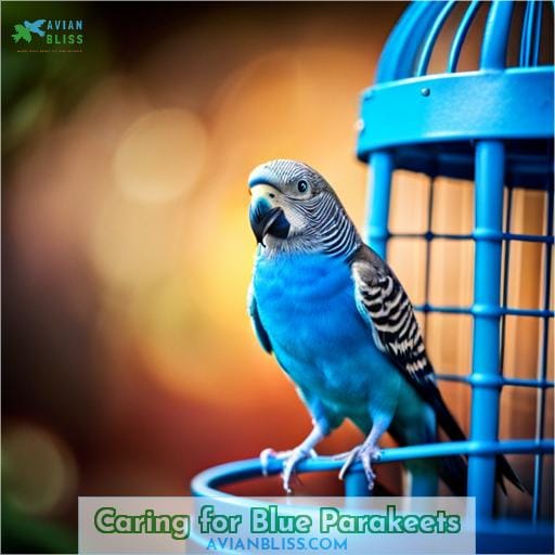 Caring for Blue Parakeets