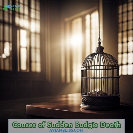 Causes of Sudden Budgie Death