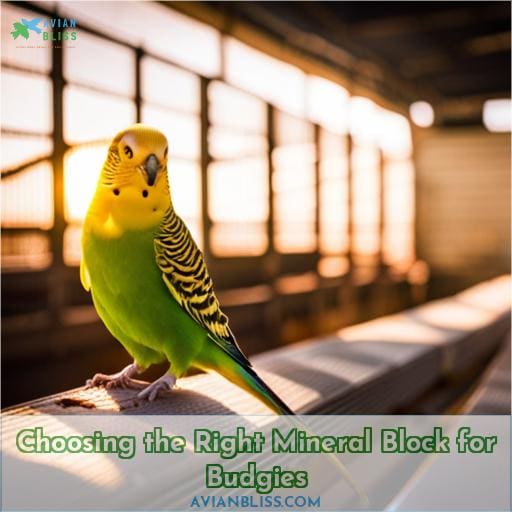 Choosing the Right Mineral Block for Budgies