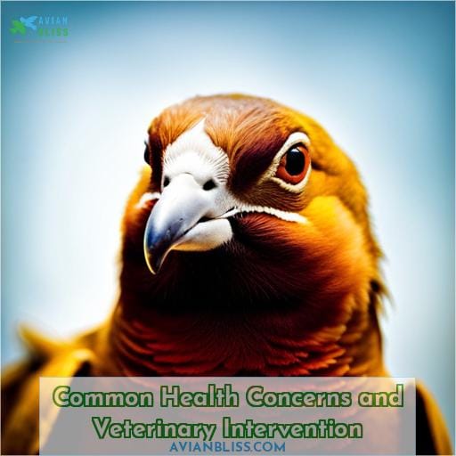 Common Health Concerns and Veterinary Intervention