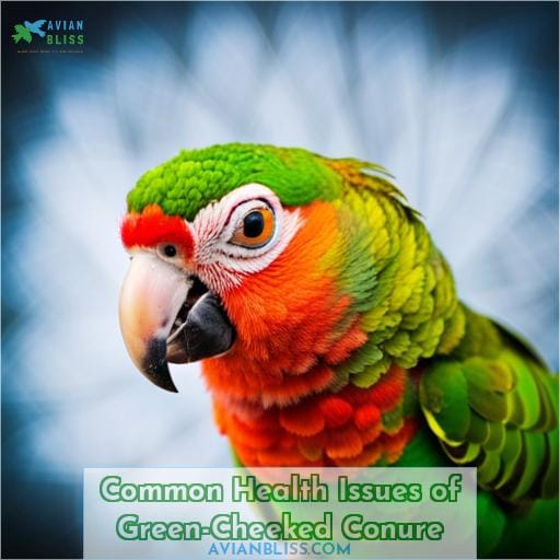 Common Health Issues of Green-Cheeked Conure