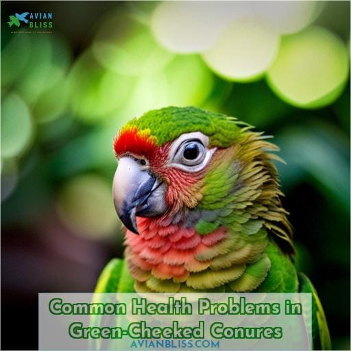 Common Health Problems in Green-Cheeked Conures