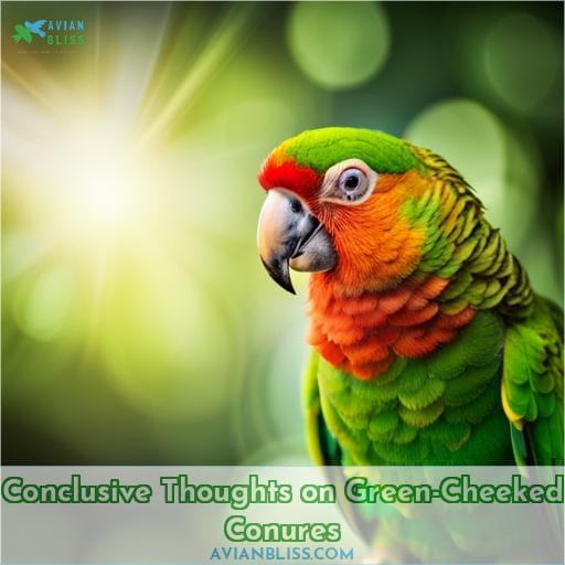 Conclusive Thoughts on Green-Cheeked Conures