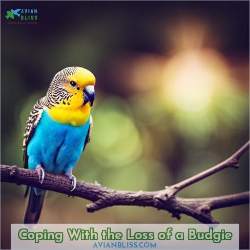 Coping With the Loss of a Budgie