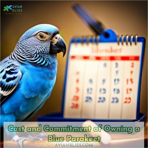 Cost and Commitment of Owning a Blue Parakeet