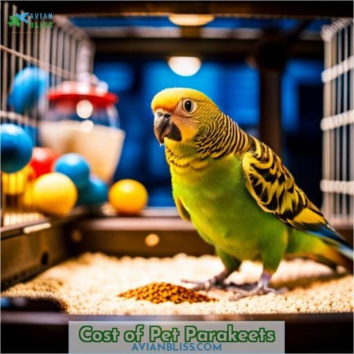 Cost of Pet Parakeets