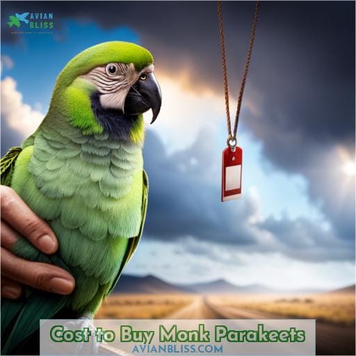 Cost to Buy Monk Parakeets