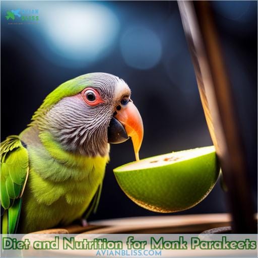 Diet and Nutrition for Monk Parakeets