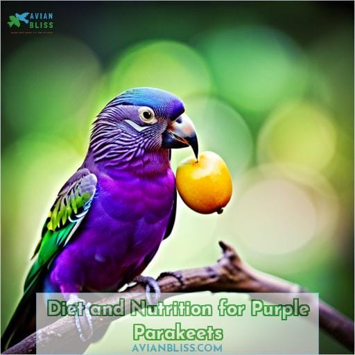 Diet and Nutrition for Purple Parakeets