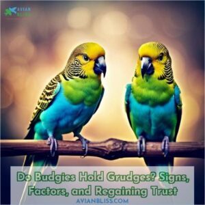 do budgies hold grudges