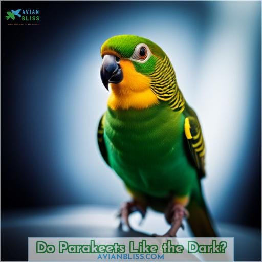 Do Parakeets Like the Dark