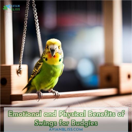 Emotional and Physical Benefits of Swings for Budgies