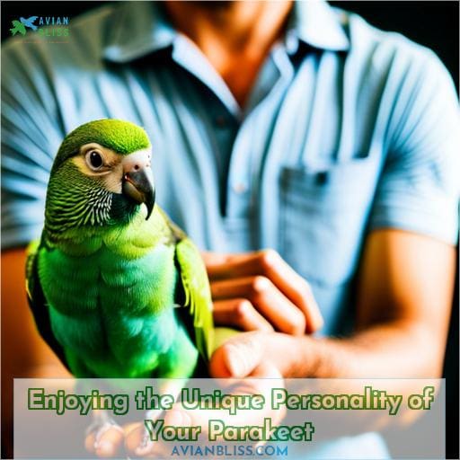 Enjoying the Unique Personality of Your Parakeet