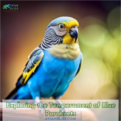 Exploring the Temperament of Blue Parakeets