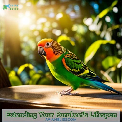 Extending Your Parakeet