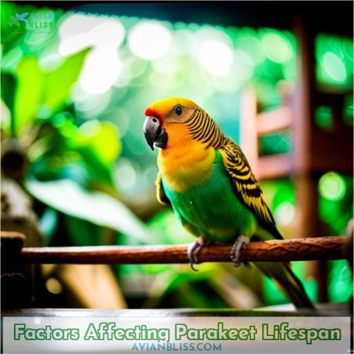 Factors Affecting Parakeet Lifespan