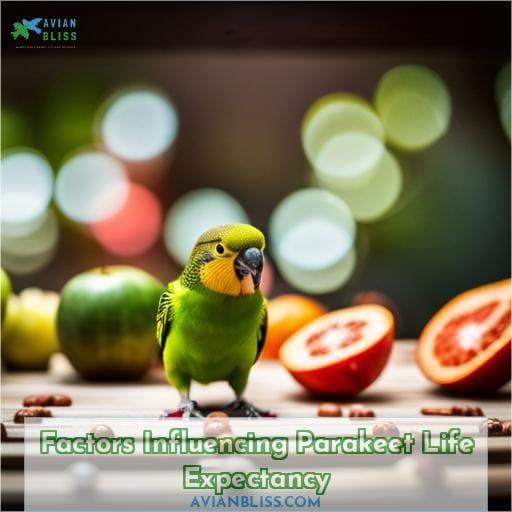 Factors Influencing Parakeet Life Expectancy