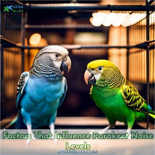 Factors That Influence Parakeet Noise Levels