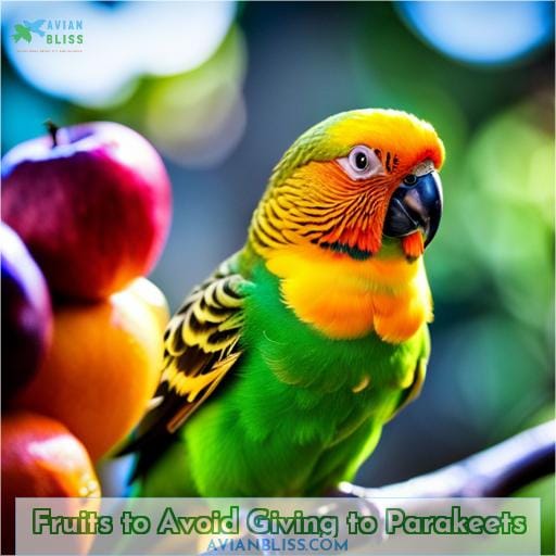 Fruits to Avoid Giving to Parakeets
