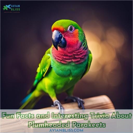 Fun Facts and Interesting Trivia About Plumheaded Parakeets