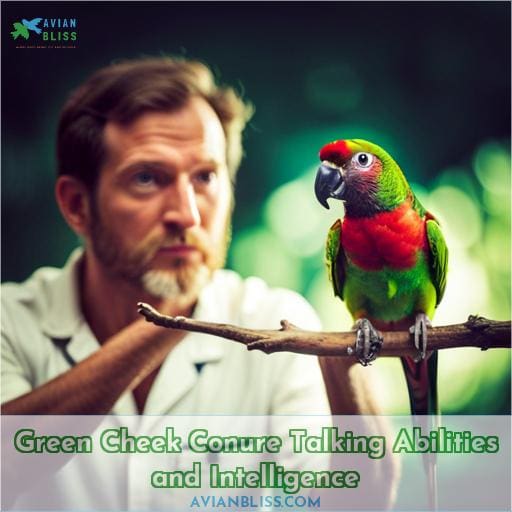 Green Cheek Conure Talking Abilities and Intelligence