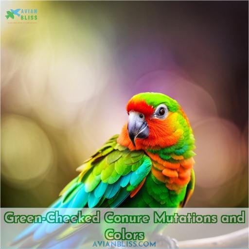Green-Cheeked Conure Mutations and Colors