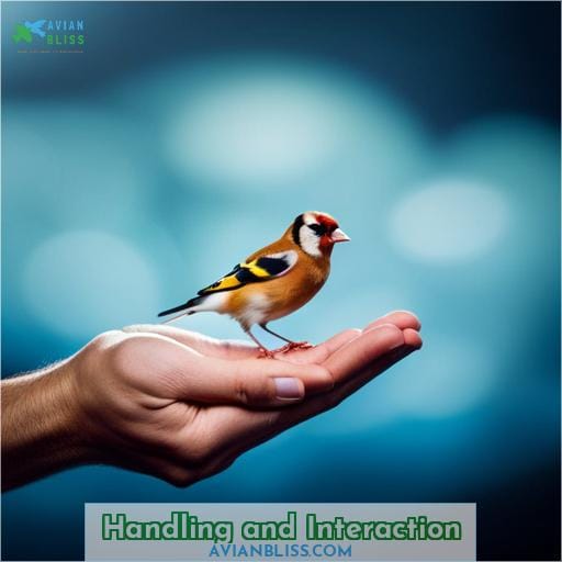 Handling and Interaction