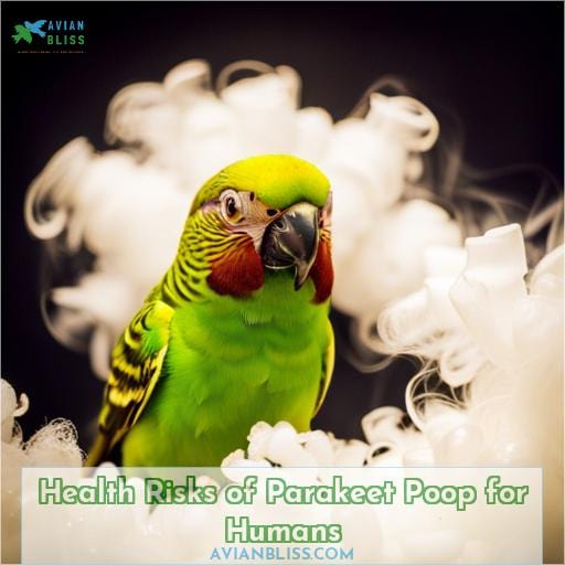 Health Risks of Parakeet Poop for Humans